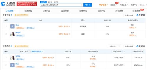 數(shù)字文化創(chuàng)意內(nèi)容的應用服務 重塑未來的文化體驗
